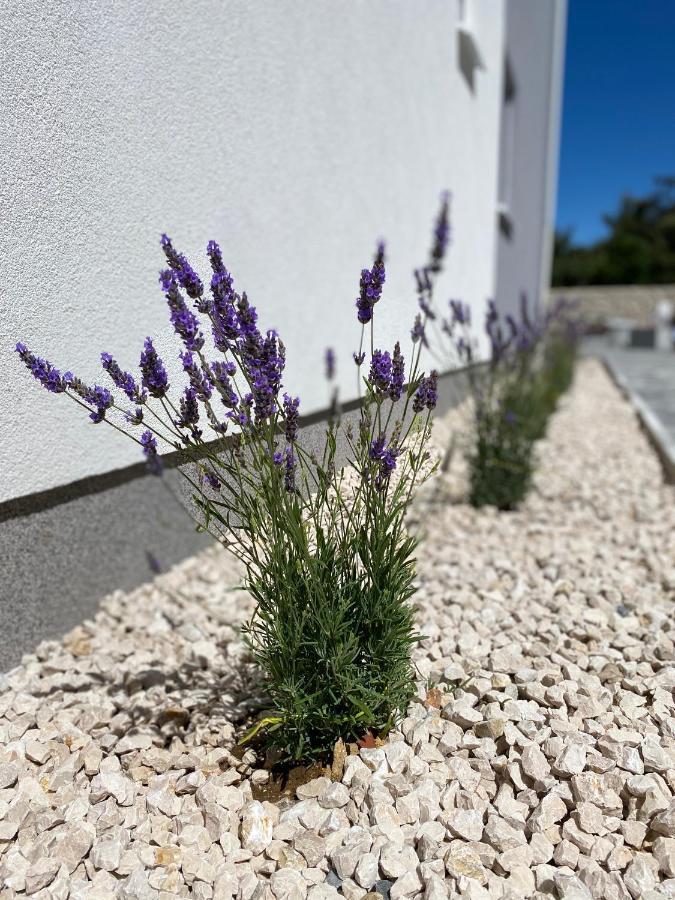 Apartmán 1oak *